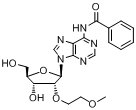 N6-苯甲?；?2'-O-(2-甲氧基乙基)腺苷